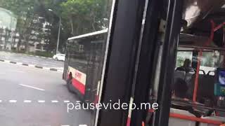 SMRT Retired and Deregistered Mercedes Benz o405G Hispano Habit Batch 2 TIB1236M 912B Part 1 [upl. by Anirehtak]