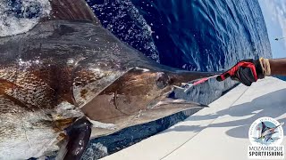 FishMoz Mozambique Summer Blue Marlin Fishing Episode  Africas Premier Billfish Destination [upl. by Nywloc]