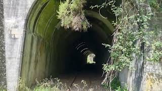 Gisborne  Mahia Train Track Walk [upl. by Lanfri848]