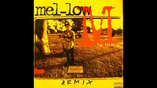 MelLow  BG Thang Remix Version 1995 [upl. by Nodnorb439]