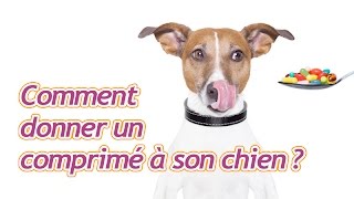 Comment donner un comprimé à son chien [upl. by Eiluj393]