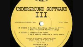 Underground Software  Swallow Something Clean Da R [upl. by Drhcir]