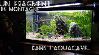 On monte un nouveau 60L pour mes Rasbora [upl. by Hilbert]