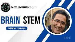 BrainStem External Features [upl. by Lehcar]