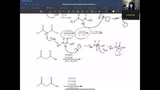 Malonic Ester and Acetoacetic Ester Synthesis [upl. by Epilihp]