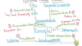 Lysosomal Storage Diseases [upl. by Azila451]