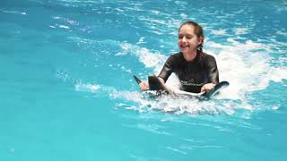 Swim With Dolphins in Dubai dubaidolphinarium [upl. by Shantha]