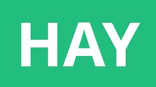 How To Pronounce Hay  Pronunciation Academy [upl. by Daniala]