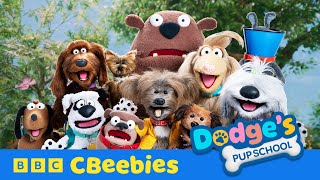 Meet Dodge’s Pup School Friends  CBeebies [upl. by Boaten206]