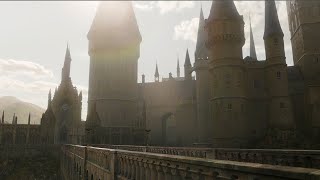 Hogwarts Scene  Fantastic Beasts and Crimes of Grindelwald2018  Movie Scene HD [upl. by Adnilam686]