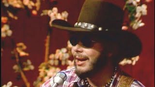 Hank Williams Jr  Sweet Home Alabama  1976 [upl. by Mond]