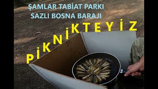 ŞAMLAR TABİAT PARKI  SAZLI BOSNA BARAJI [upl. by Alram582]