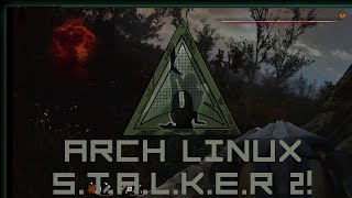 Linux plays STALKER 2 BEAUTIFULLY  RTX 4090 24GB  EPIC [upl. by Reniar9]