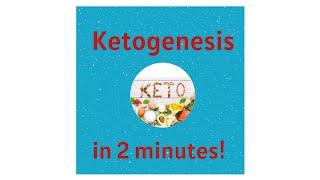 Ketogenesis and Ketones in 2 minutes [upl. by Ynavoj542]