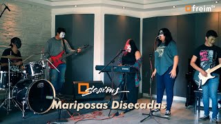 Mariposas Disecadas  Freim TV Sessions  E05 T06 [upl. by Gide]