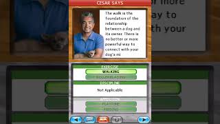 Cesar Millans Dog Whisperer Gameplay Nintendo DS [upl. by Pain779]