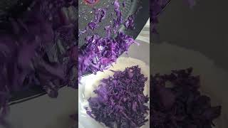 Rotkohl salat sehr 😋 foryou food recipe cooking viralshort [upl. by Uolymme]