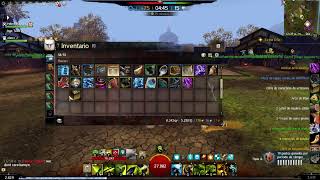 Spellbreaker Roaming  Immortal build  Gw2  WvW [upl. by Ginder]