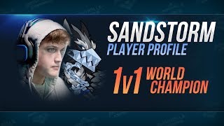 Sandstorm Player Profile [upl. by Jerrie]