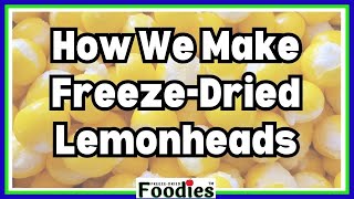 How We Make FreezeDried Lemonheads Timelapse [upl. by Atalie731]