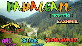 PAHALGAM Kashmir tour  Betaab Valley  Aru Valley  Chandanwadi [upl. by Llehcal333]