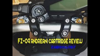 FZ09 Andreani Cartridge Review [upl. by Ursas249]