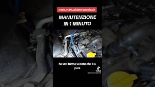 Manutenzione in 1 minuto automobile meccanico motori shorts [upl. by Bluefield]