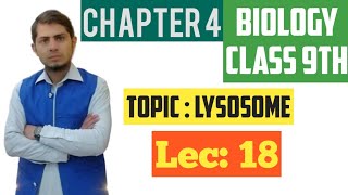 Lysosome Sucide bags  Class 9th Chp 4  Lec 18 [upl. by Eon]