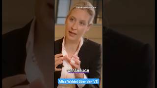 Frau Weidel über den VS 👍🏻🇩🇪 afd memes deutsch deutschland shorts politik ytshorts wahl [upl. by Derron]