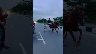 hanuman hanuman horse automobile humor horselover horseriding happy love hindi unfrezzmya [upl. by Derna]