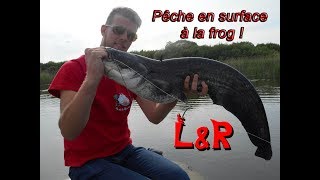 Pêche à la frog silures et brochets en live [upl. by Annice]