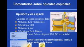 Opioides Espinales en Analgesia Postoperatoria [upl. by Sewell]