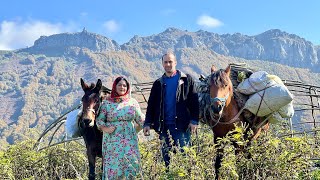 Iran Nomadic Life Moving to Lower Grounds amp Setting Up Camp for the Seasonal Migration [upl. by Aratihc]