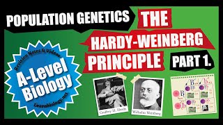 The Hardy Weinberg Equation Part 1  A Level Biology  Biology Lessons [upl. by Adora]