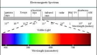 Role of sun light in photosynthesis Sun waves and visible light DRNotesbiology [upl. by Bray132]