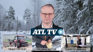 ATL TV Frusna betor trädförädling och traktortest [upl. by Arag302]