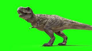 Green Screen TRex [upl. by Arlinda]