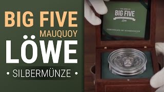 Silber kaufen  Big Five Mauquoy Löwe  Limitierte Silbermünze [upl. by Aihsenad]