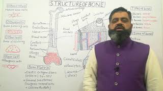 Structure of Bone Urdu Hindi medium profmasoodfuzail Types of Bones  Anatomy of Bone [upl. by Arabrab440]