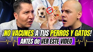 ¡CUIDADO ¿POR QUÉ el POLLO NO se LAVA VETERINARIO RESPONDE  Diagnóstico 64  Mr Doctor [upl. by Jacklyn]