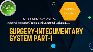 INTEGUMENTARY SYSTEM GUIDELINES AND PRACTICE QUESTIONS PART1  MEDICAL CODING [upl. by Boote]