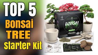 Best Bonsai Tree Starter Kit Indoor [upl. by Eelrefinnej]