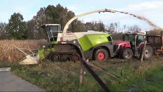 Maïs 2023  Claas Jaguar 960 Terra Trac  5x Massey Ferguson  4x Dezeure  muddy field  Verreth [upl. by Eba425]