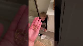 Caught Dads Secret Gift Hiding Spot Exposed by 2YearOldSon 🤣 💕 [upl. by Jeane]