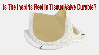 Is The New Inspiris Resilia Tissue Heart Valve Durable [upl. by Rika]