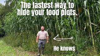 Deer Food Plot 101  Part II [upl. by Pownall419]