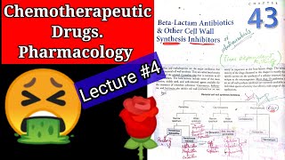 Chemotherapeutic pharmacologyChap43lec 4Beta lactam antibiotics cell wall synthesis inhibitors [upl. by Concha962]