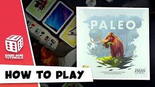 Paleo  How To Play  Board Game [upl. by Katusha]