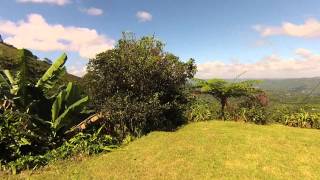 Mountain Property Outside Utuado Puerto Rico [upl. by Gillette809]