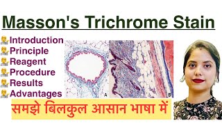 Mason’s Trichrome Stain in Hindi  Histology stain  MLT [upl. by Nilyaj]